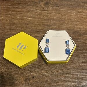 Earring Reveal Blue and Silver Dangle Earrings